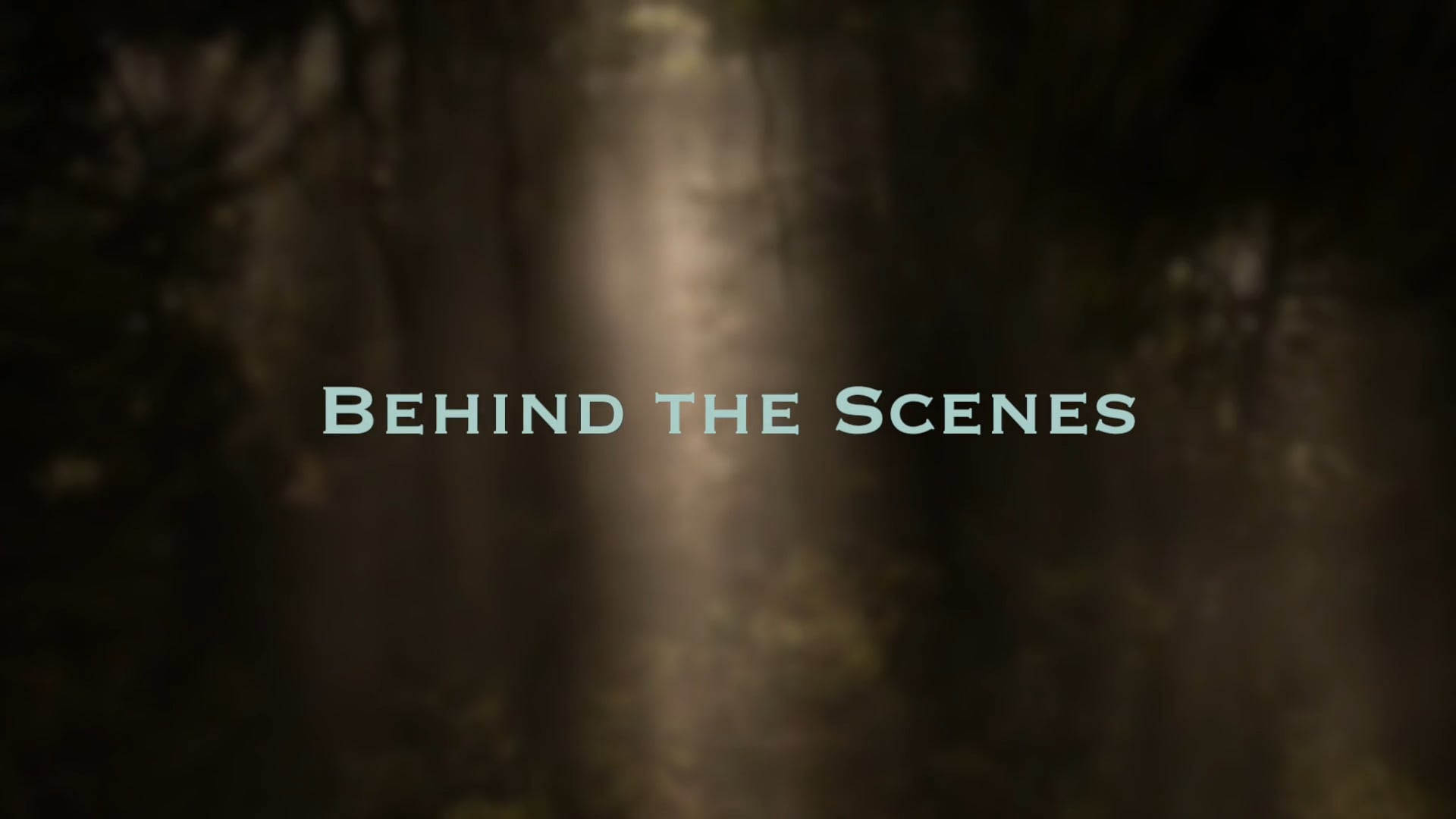 Behind The Scenes